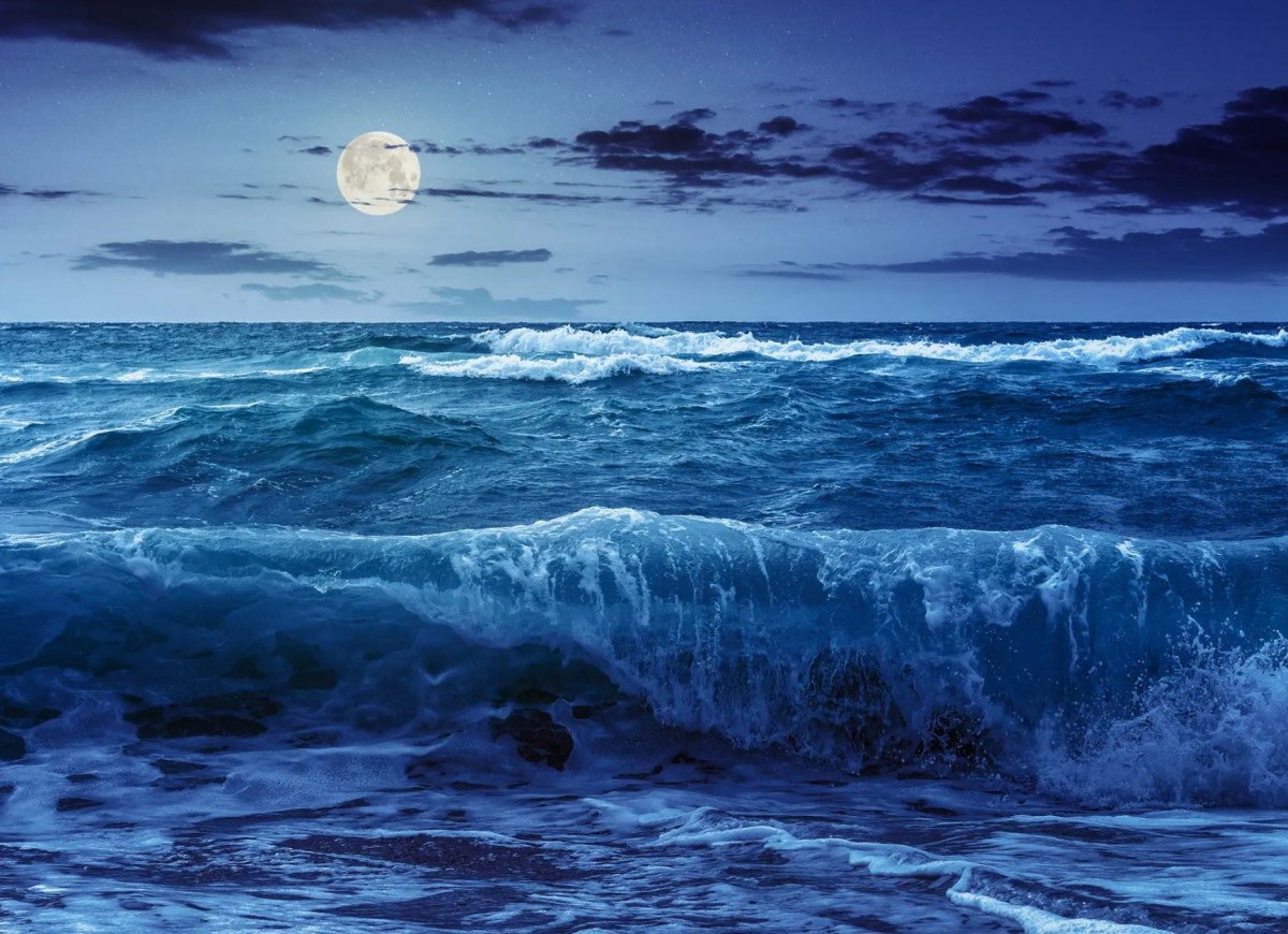 Not a Wave, a Sea Change…Predictable, on Schedule